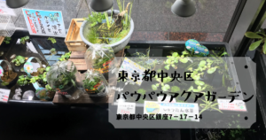 東京都墨田区 めだかの箱庭 東京スカイツリー前店 スカイツリーの目の前 おしゃれな東京の改良メダカ専門店 たこめだか