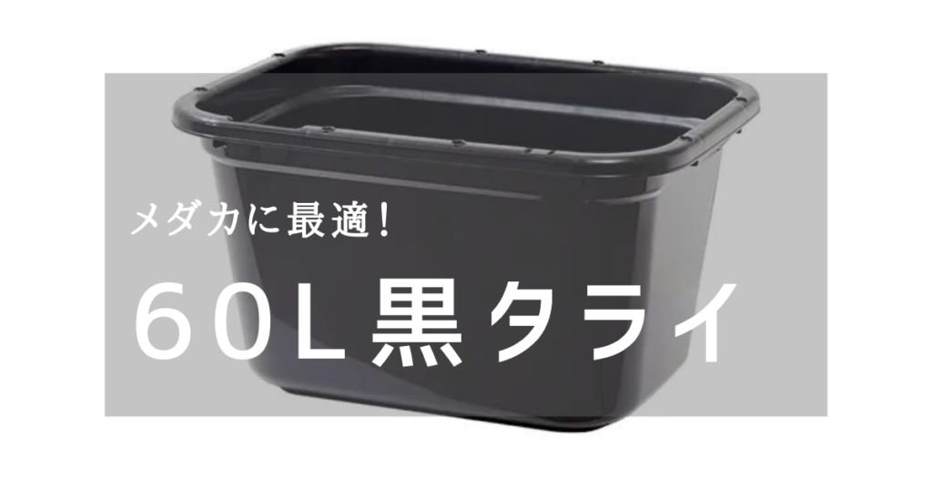 メダカに最適【60L 黒タライ 容器】商品紹介。charm『チャーム 
