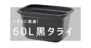 超簡単 ゾウリムシの培養 増やし方 たこめだか