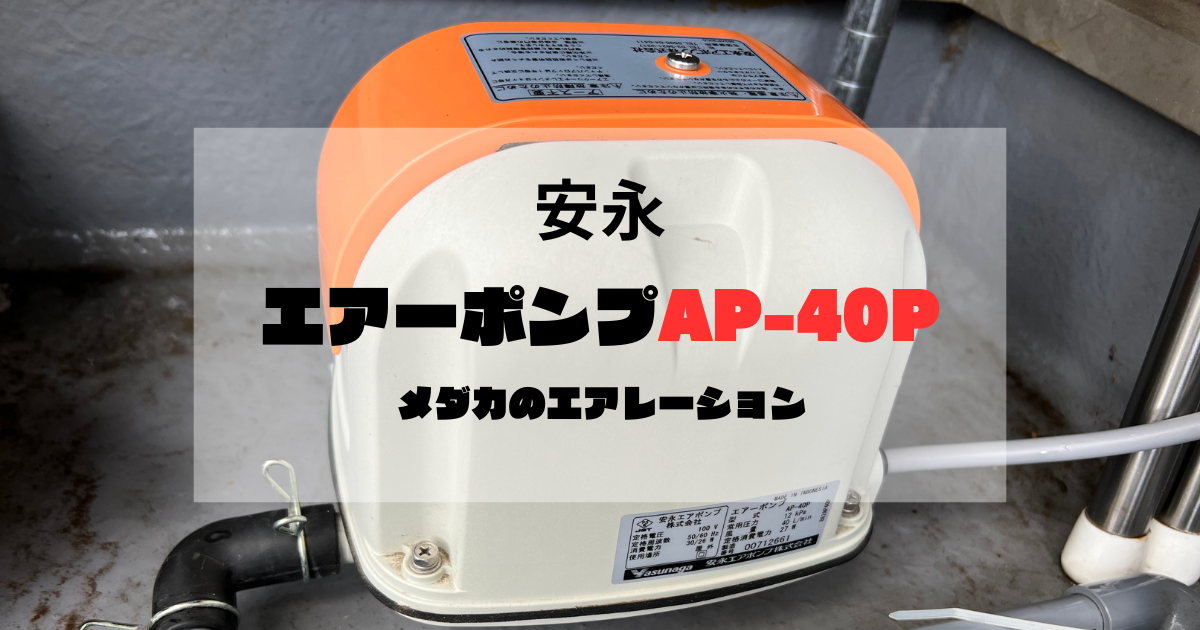 エアーポンプ | 製品情報 | 安永エアポンプ株式会社 アクア 水槽 ポンプ 静音 浄化槽 ブロアー 安永エアポンプ　ap-30p 検索:メダカ飼育、金魚、排水